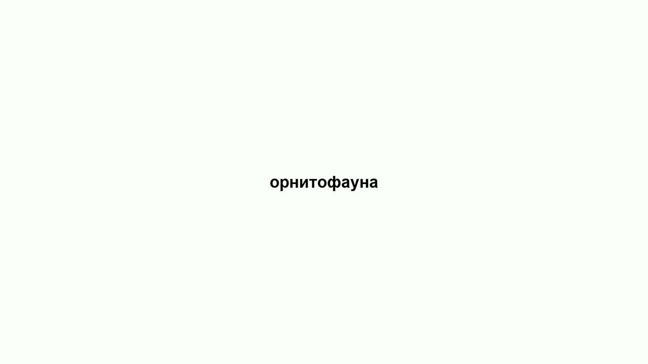 орнитофауна