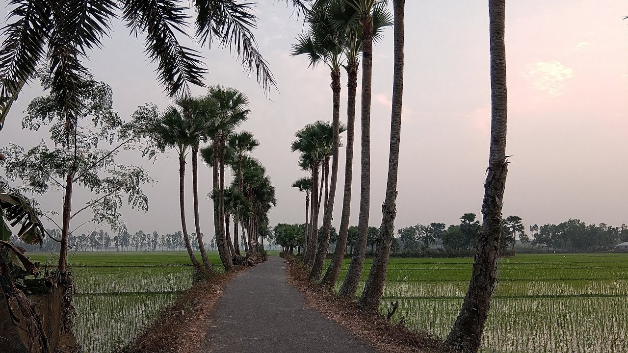 গ্রাম বাংলার প্রকৃতি 