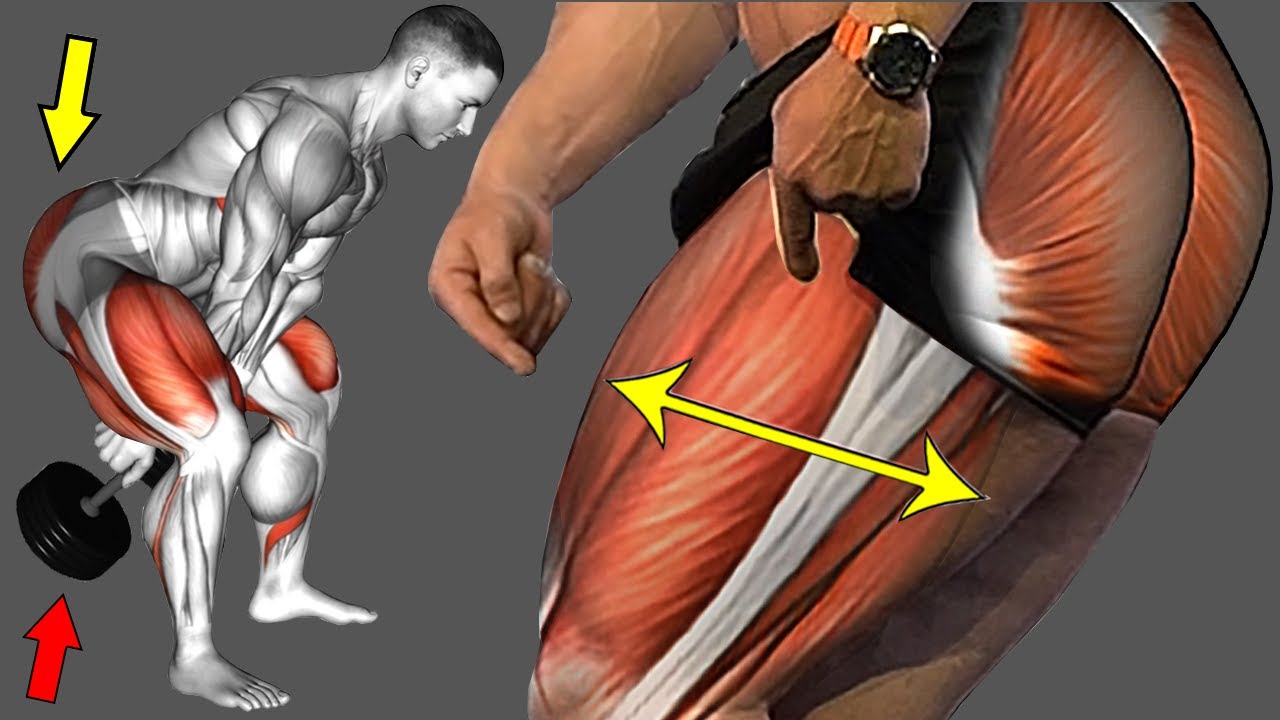 Как накачать ноги за более короткое время 💪 Идеальное видео 👌
