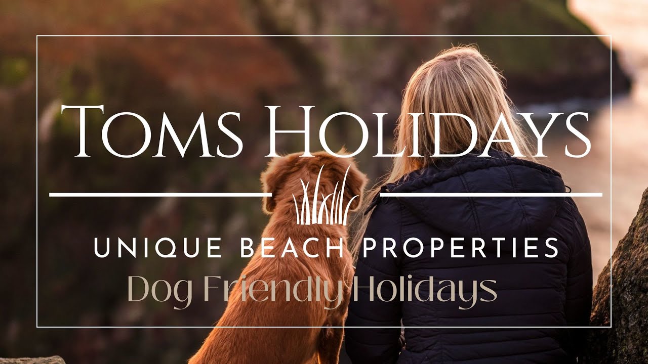 Dog Friendly Properties #visitcornwall #petfriendly #dogwalk #beautifuldestinations #cornwalluk