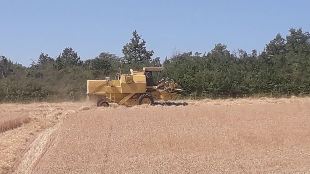 Moisson 2019 tonnac