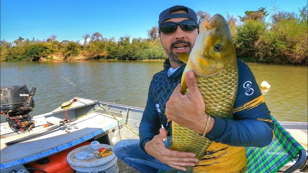 MEU DEUS! PIAPARA MONSTRA dos sonhos na isca mais INACREDITÁVEL na pescaria, no Rio Mogi.