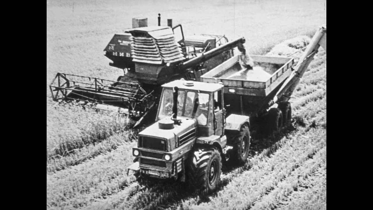Организация уборки хлебов уборочно-транспортными комплексами, 1977