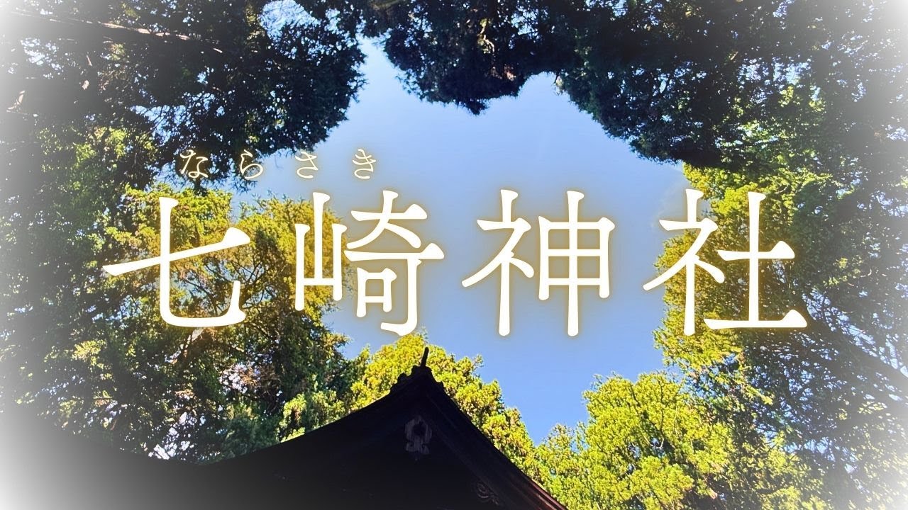 樹齢1000年の巨大杉と七崎姫伝説。開運の細道が導く、神秘のパワースポット「七崎神社」（八戸市）
