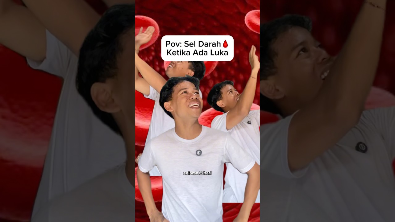 Ketika Sel Darah Kerja Keras Demi Bos