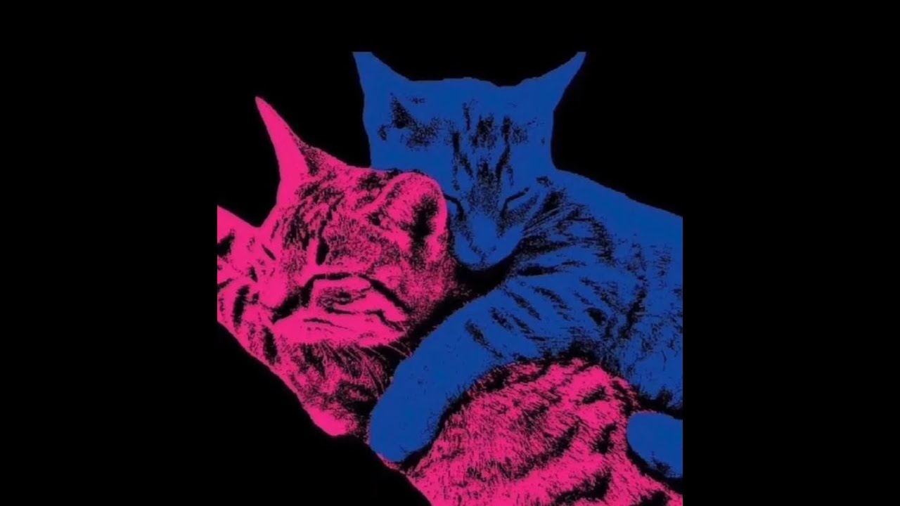 TV Girl - Blue Hair (slowed+reverb)