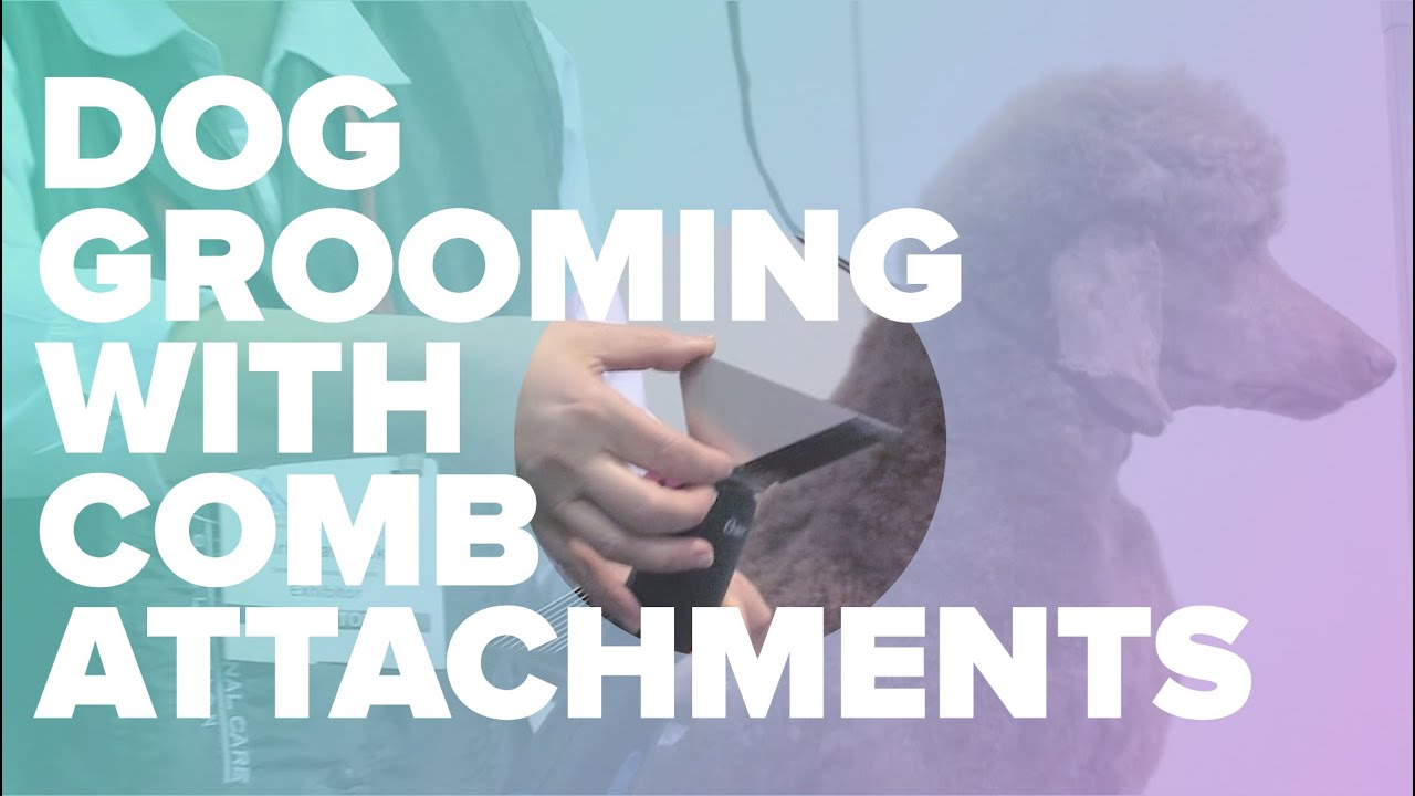 Dog Grooming with Comb Attachments on Your Clippers by Chris Pawlosky