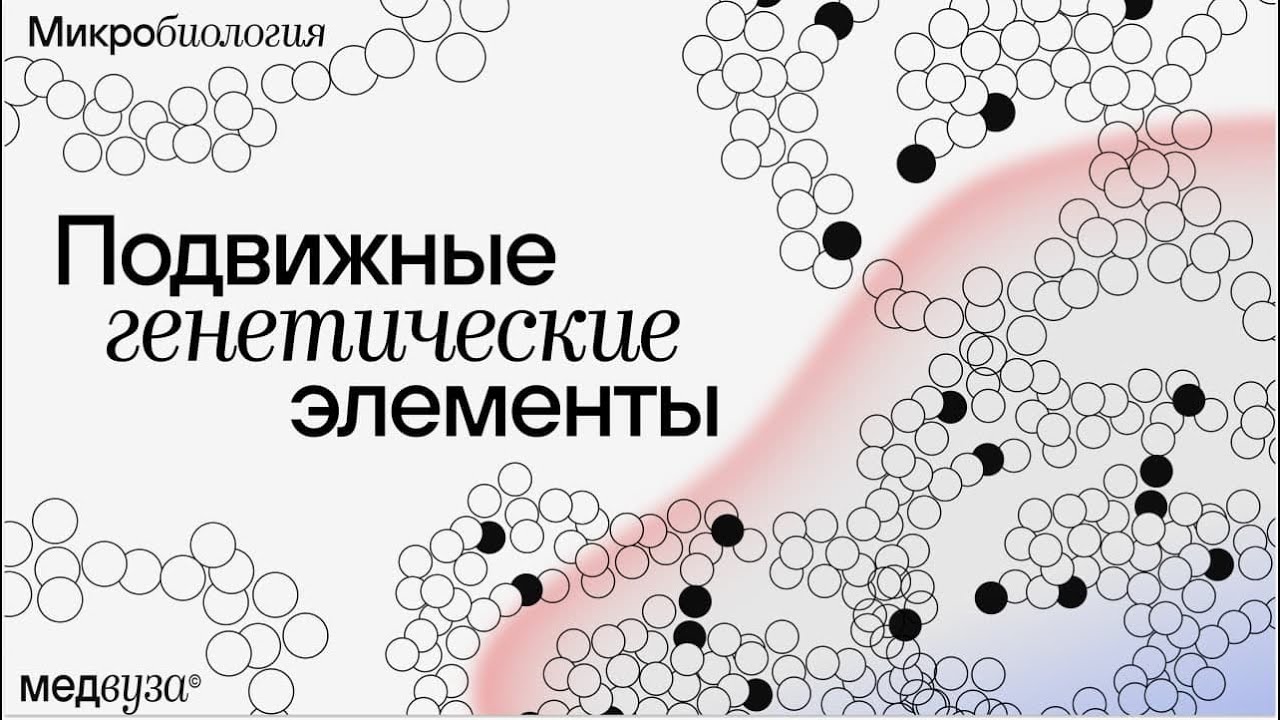 Подвижные генетические элементы | Микробиология