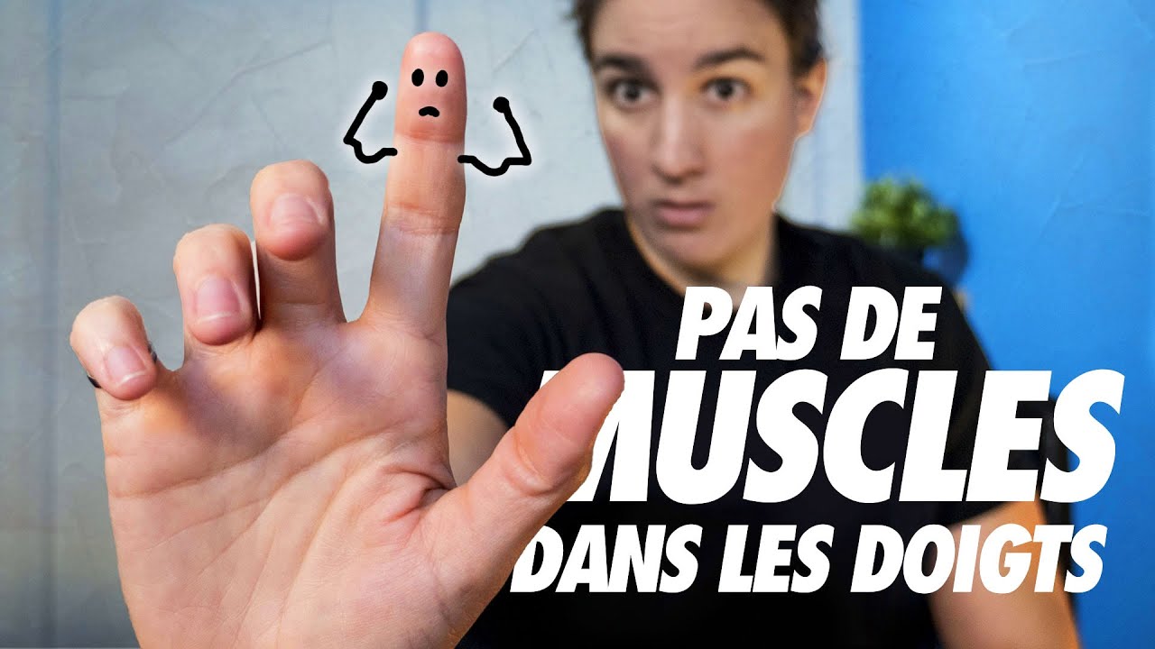 Nous n'avons pas de muscles dans les doigts ! Ben ? Comment ils bougent alors ?!