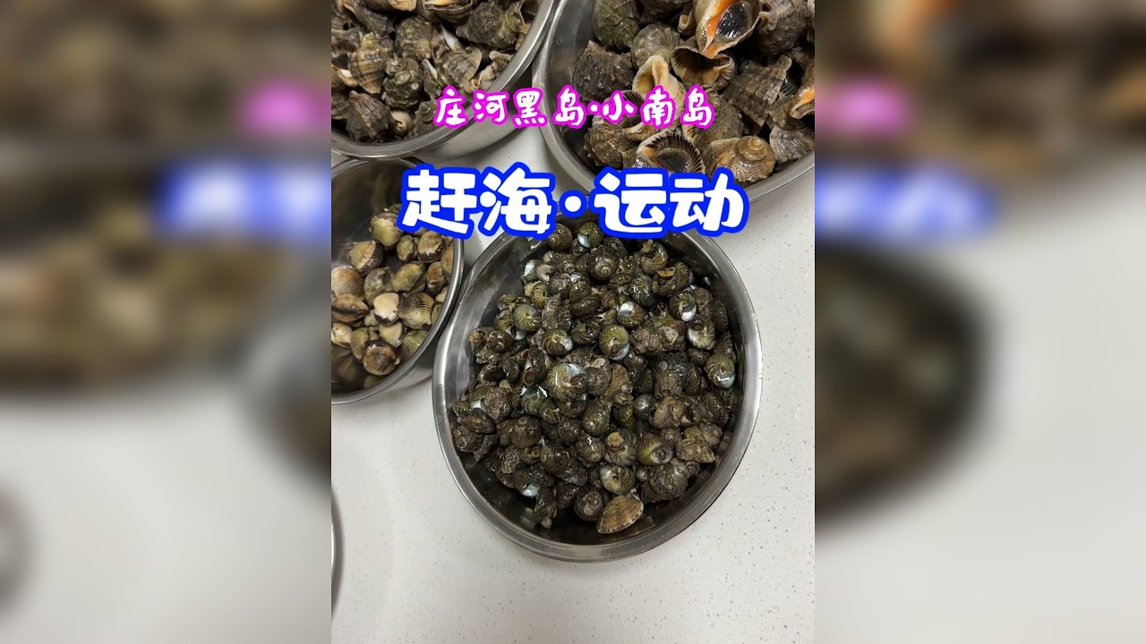 记录生活：冬季赶海运动场景