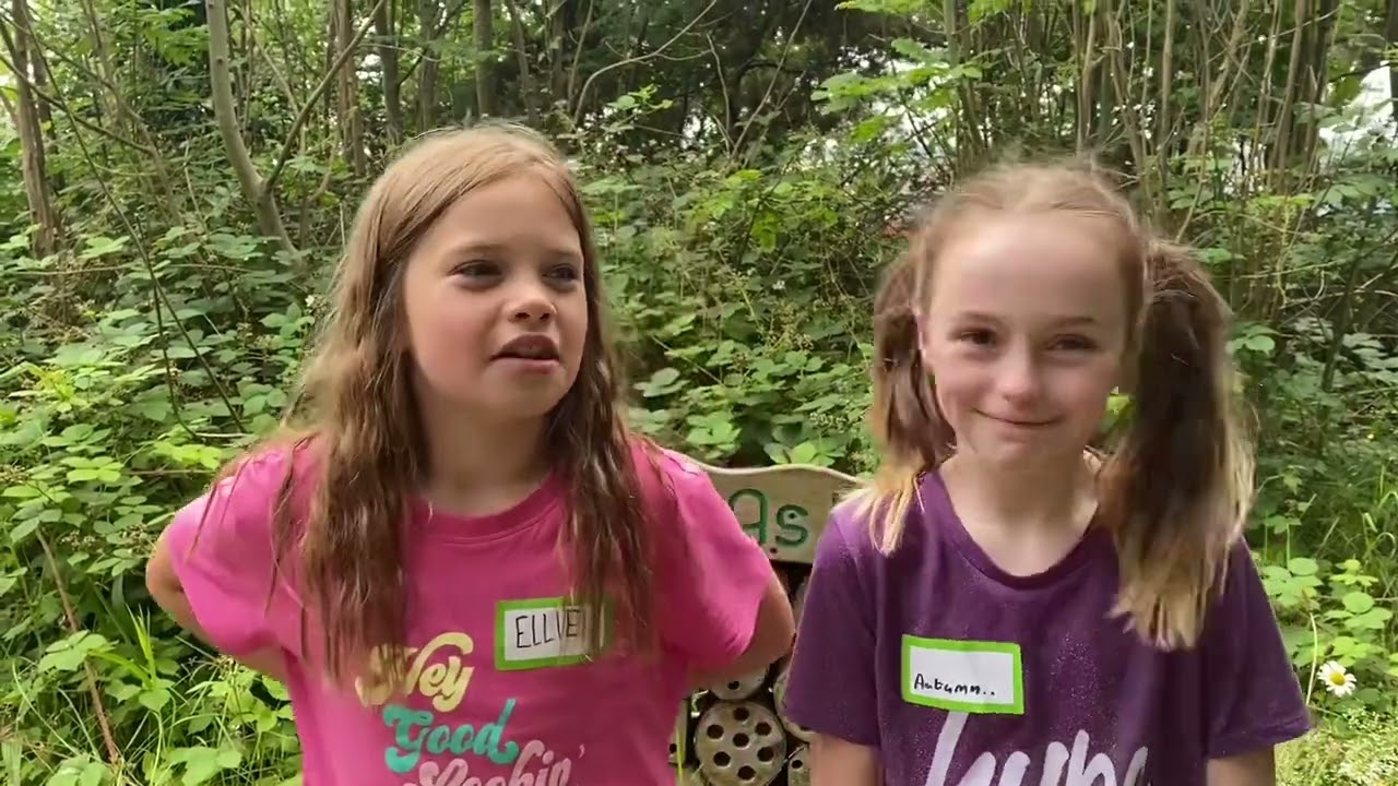 NEWSolutions Summer Fun 2023
