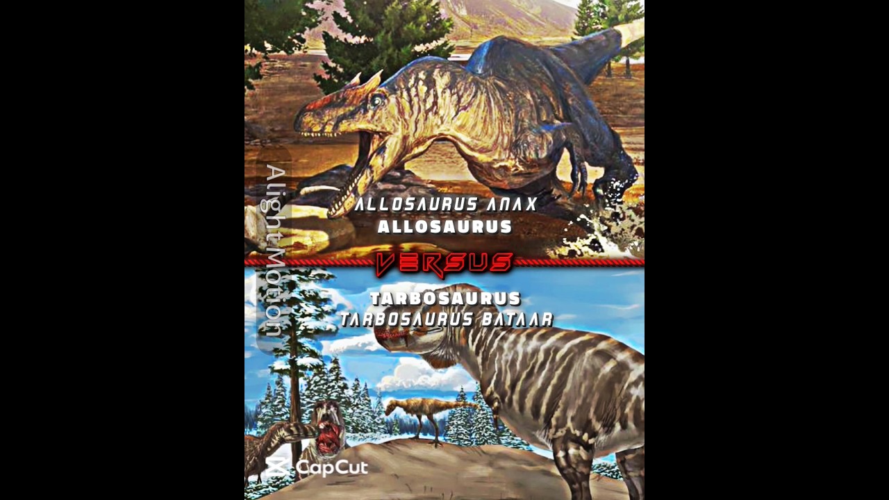 Allosaurus(anax) VS Tarbosaurus(bataar)