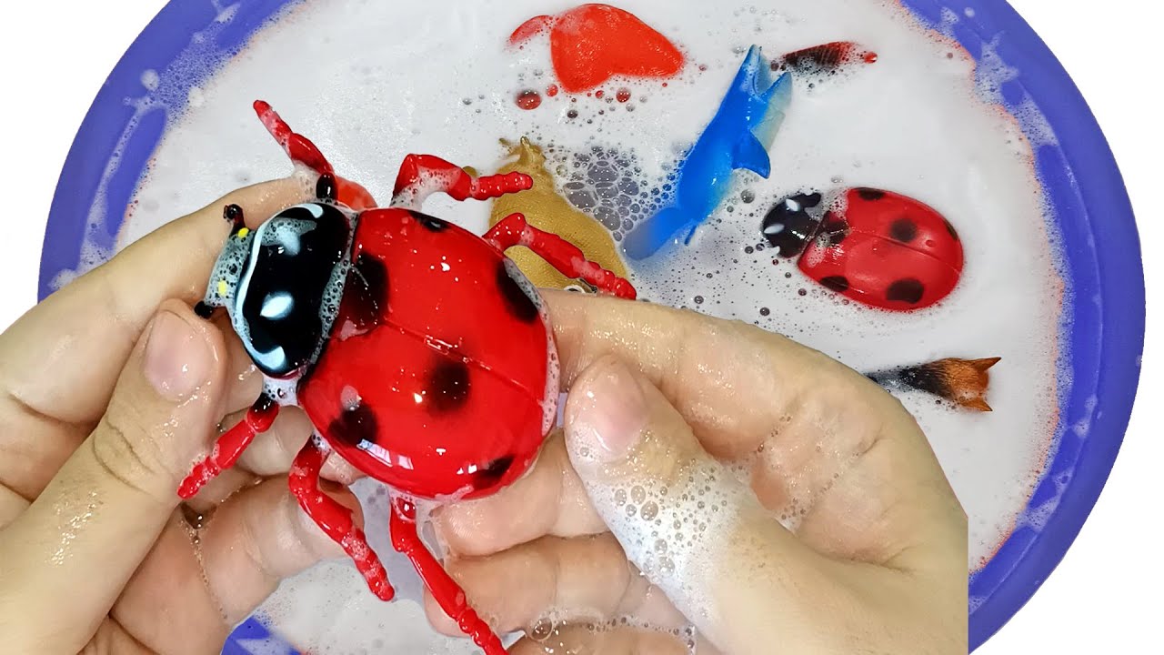 Bath time - Let's wash our Animals with Bubbles... Ladybug, Shark, Fox