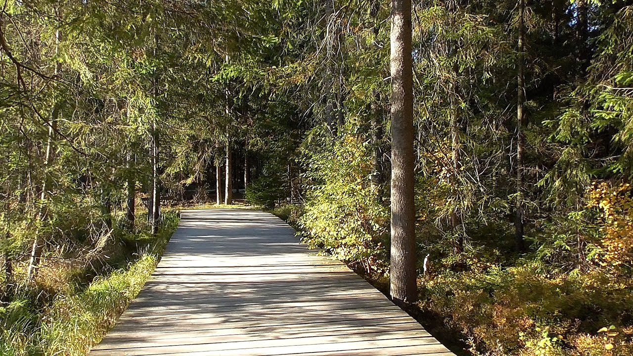 Fichtelgebirge: Kleine Wanderung rund um den Fichtelsee