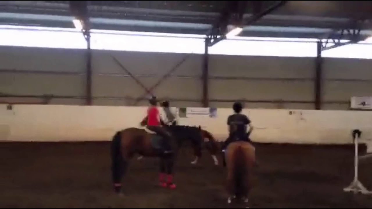 Introfilm for Hest.no