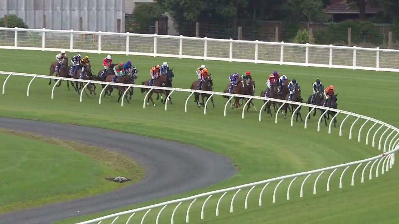 MAHRAJAAN - Auckland Cup 2024(G2 Hcp) Group 2 Ellerslie New Zealand 9 March