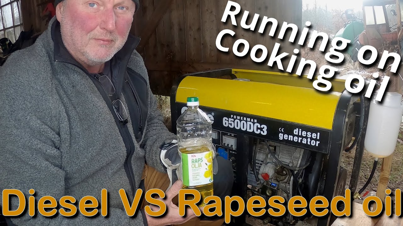 Diesel vs Rapeseed oil in a diesel generator (Diesel fuel vs Cooking oil)