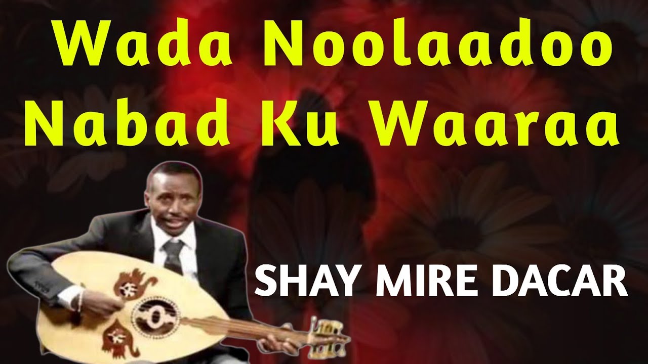 shay mire dacar wada nolado | shay mire dacar lyrics | shay mire dacar heestii | nabad ku waara shey