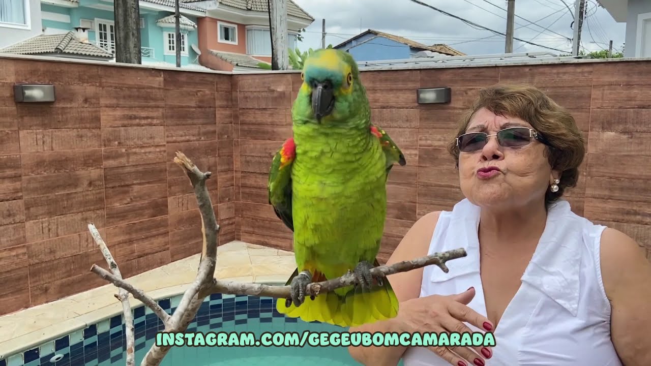 🦜👵🏽 Papagaio Ageu fala: 