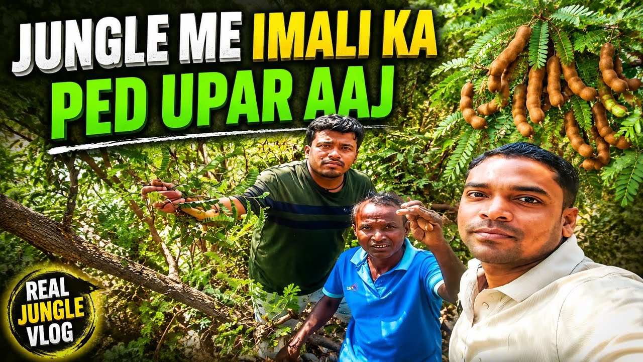 Jungle Me Aaj imali ka ped upar Aaj || Hindi vlogs || @R__vlogBook  || 🙋