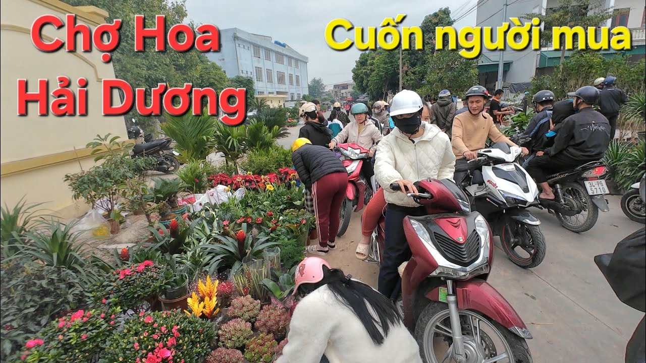 Phiên chợ hoa cuốn người mua như ngày tết