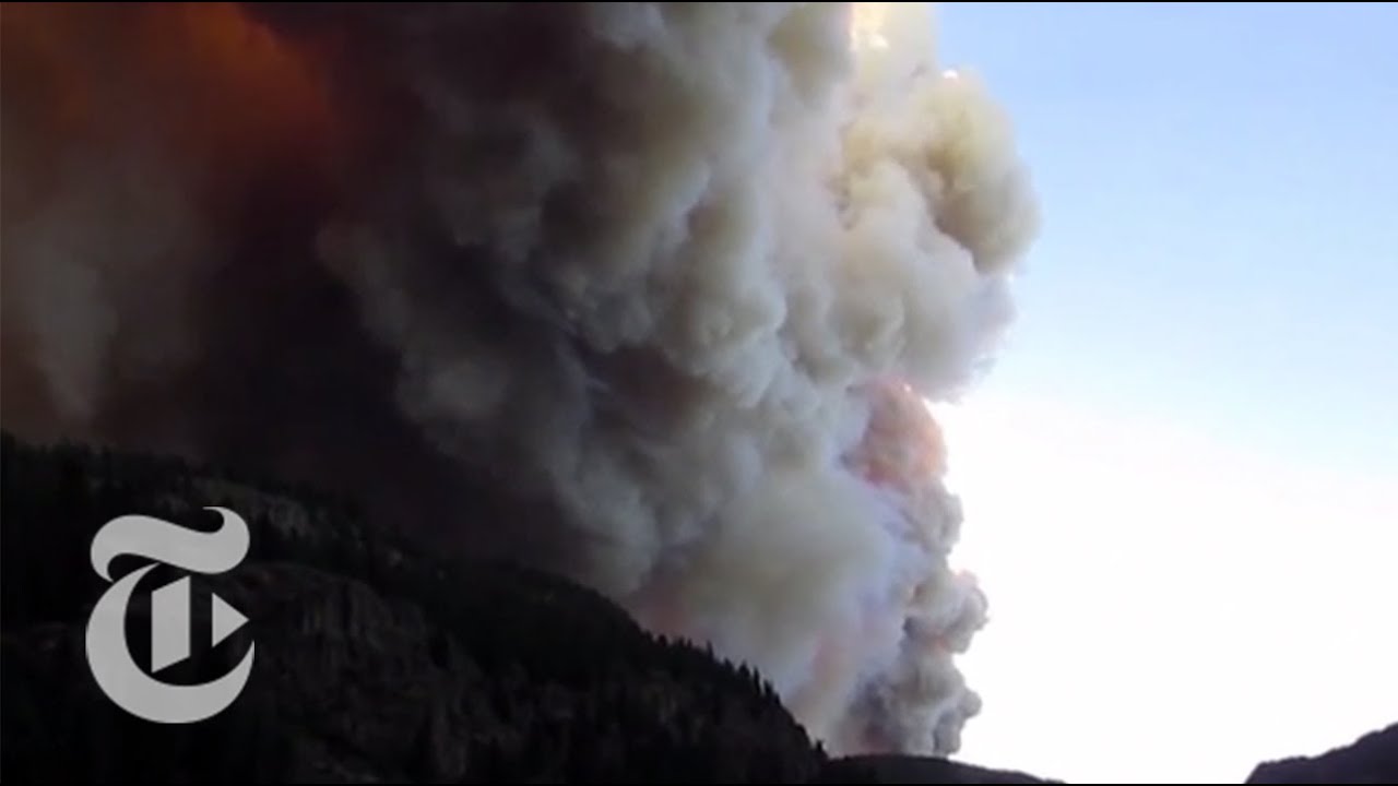 The Science Behind Forest Fires | How It Happens | The New York Times