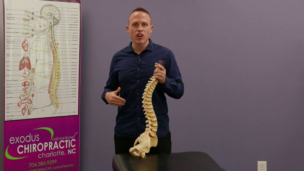 Best Chiropractor Downtown Calgary