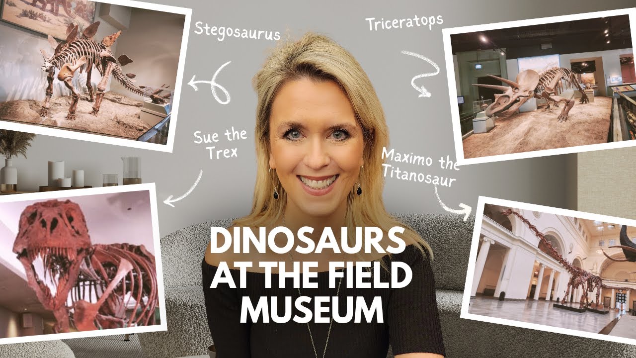 Jurassic Times at the Field Museum--T-rex and other Dinosaurs!