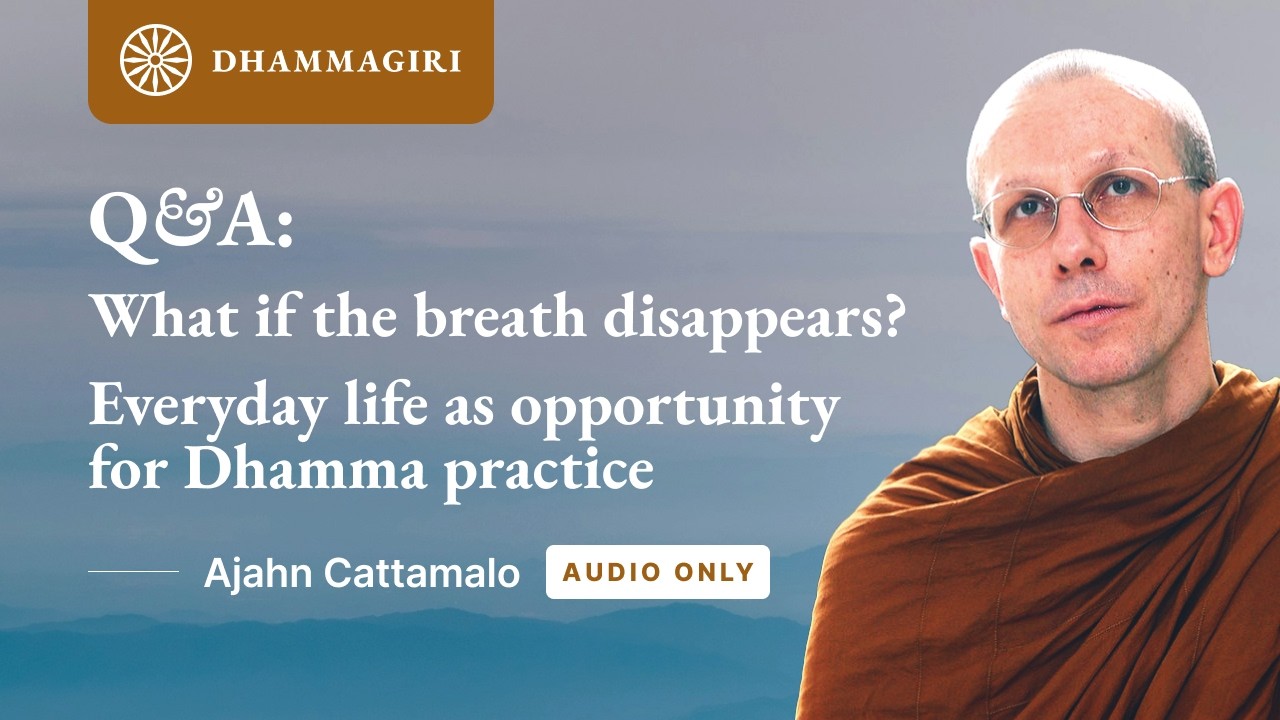 Ajahn Cattamalo Q&A - Practicing Mindfulness of breathing if the breath disappears? | Ānāpānasati