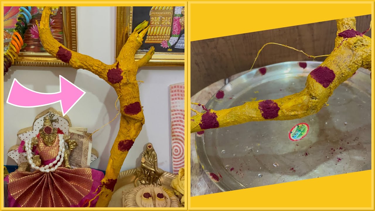 అమావాస్య రోజు దీన్ని ఇంట్లో పెట్టుకుంటే😱తెల్ల జిల్లేడు వేరు తో ఇన్ని అద్భుతాలు జరుగుతాయా😱