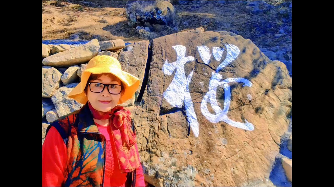 南投水里阿本農場櫻花園.老五冒煙饅頭(手工製作老麵發酵)/115年1月28日