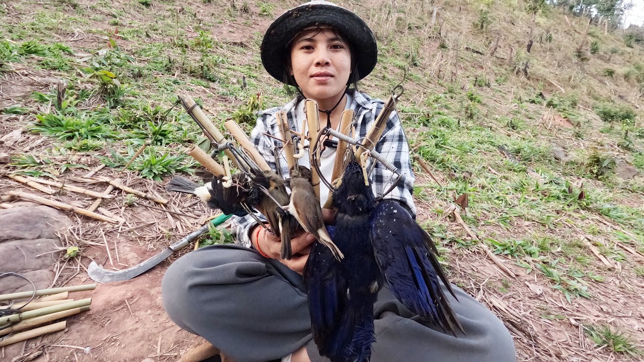 #สาวลาว ใสกับดักนกครั้งแรก ได้เยอะมาก#วิถี่สาวลาว