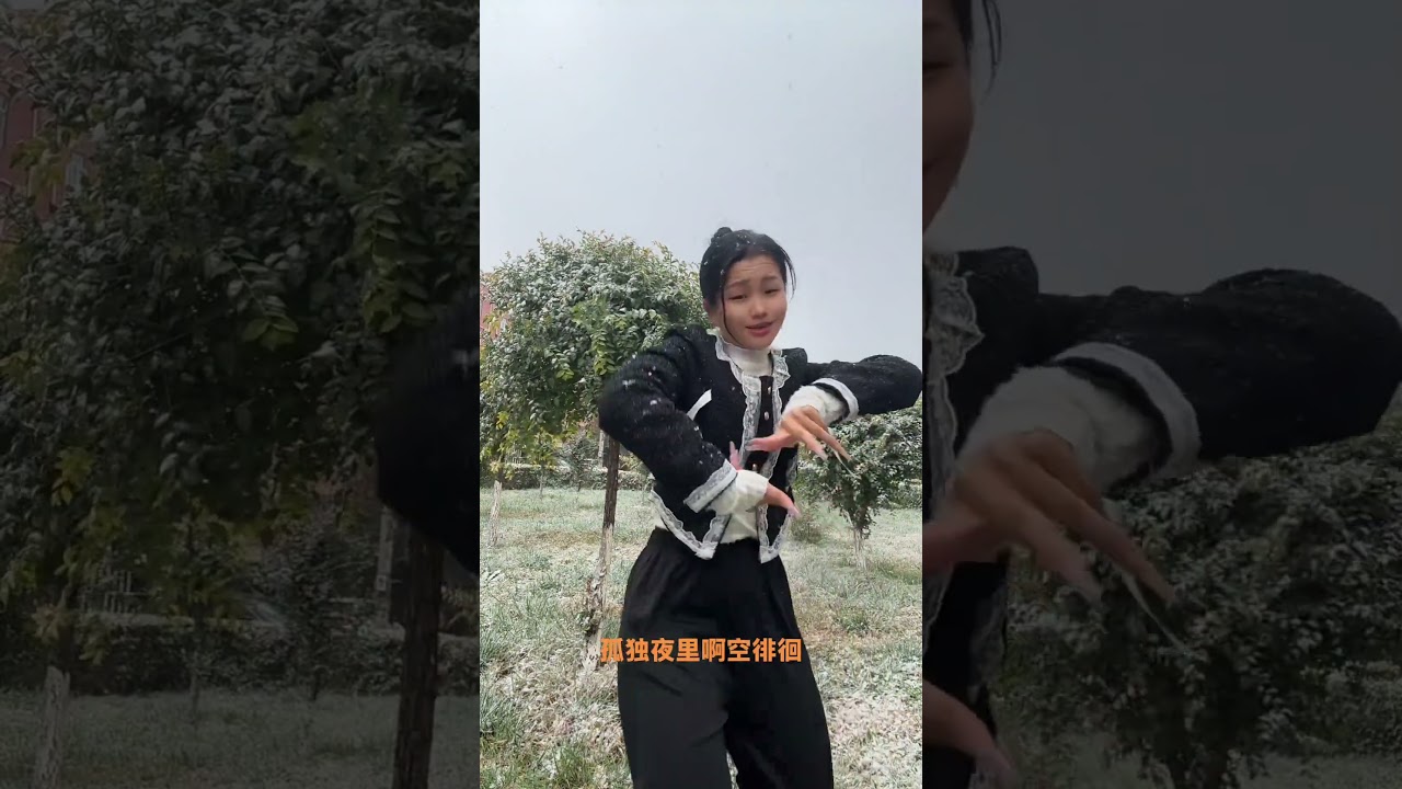 True Love for a Lifetime Finger Dance in Snow  Emotional Chinese Ballad Cover by Fengbao