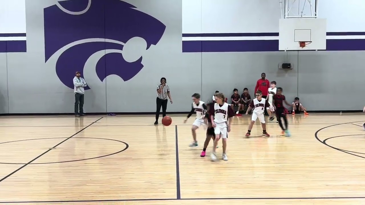 AYBA Youth Basketball Lil Mamba's Division 3 1/17/26