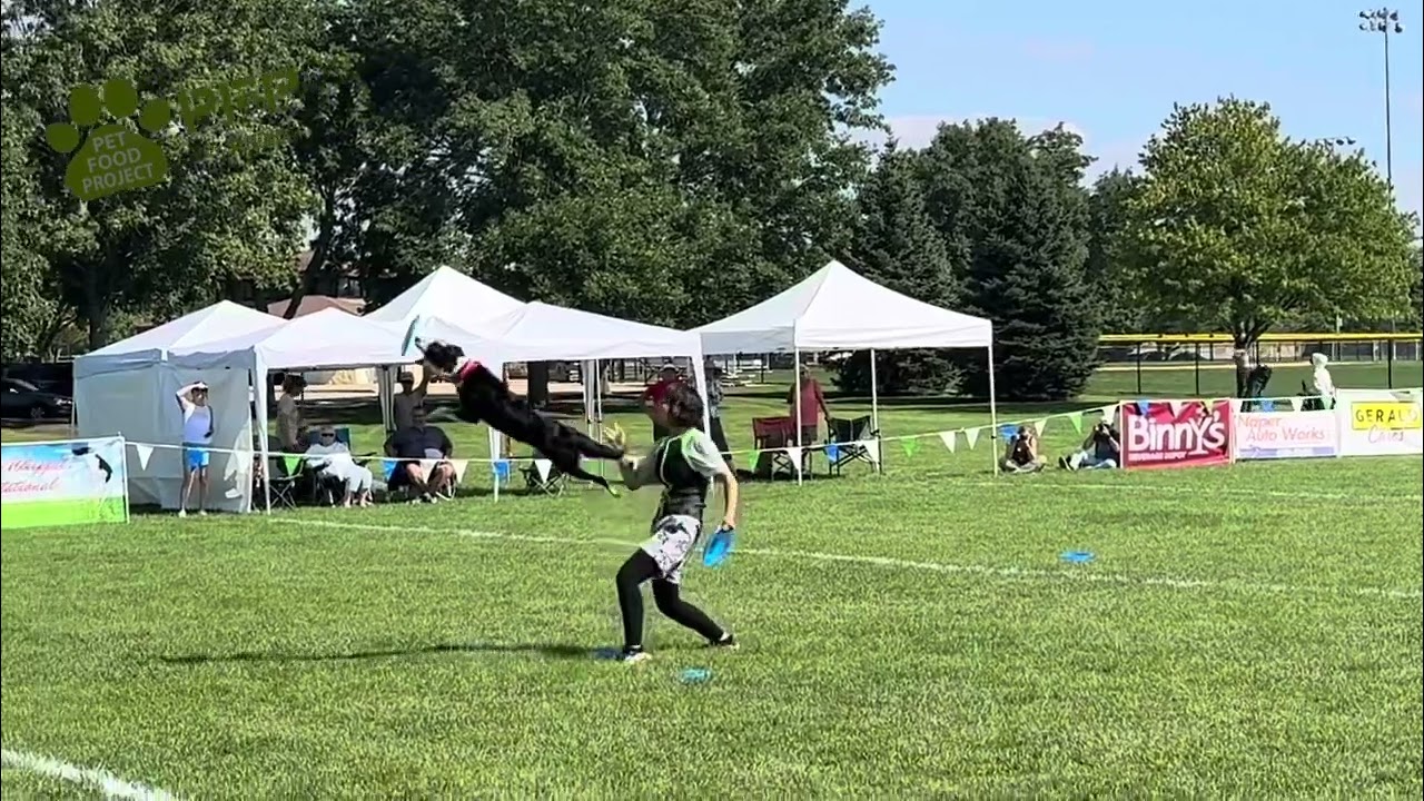 AWI World Championships 2025 Natsumi Tsuda & Loki 