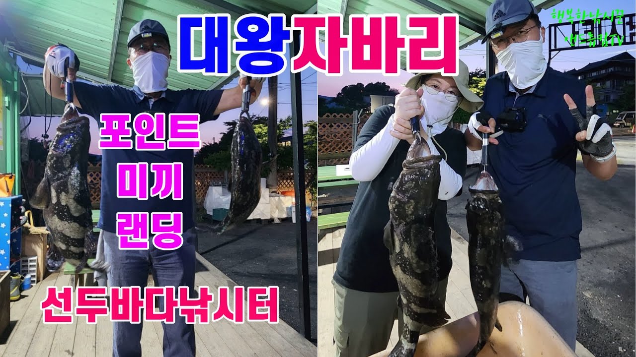 [유터낚시] 서울근교 강화도 선두바다낚시터, 대왕자바리 낚시 주요 방갈로 포인트는? 채비와 미끼는? 랜딩시 주의사항 및 어집에 숨은 자바리 꺼내는 방법은? ( 6월  1일 출조 )