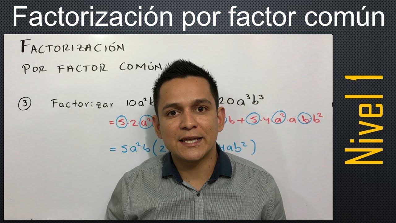 Factorización por factor común. Ejercicios para principiantes | #49