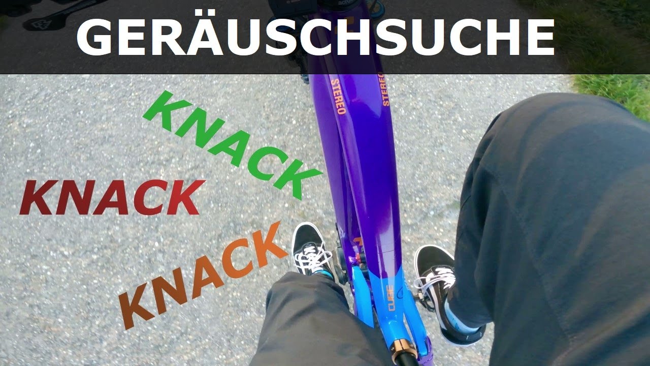 Die Suche nach dem Knack Geräusch beim Bosch CX Gen4 Motor geht weiter...