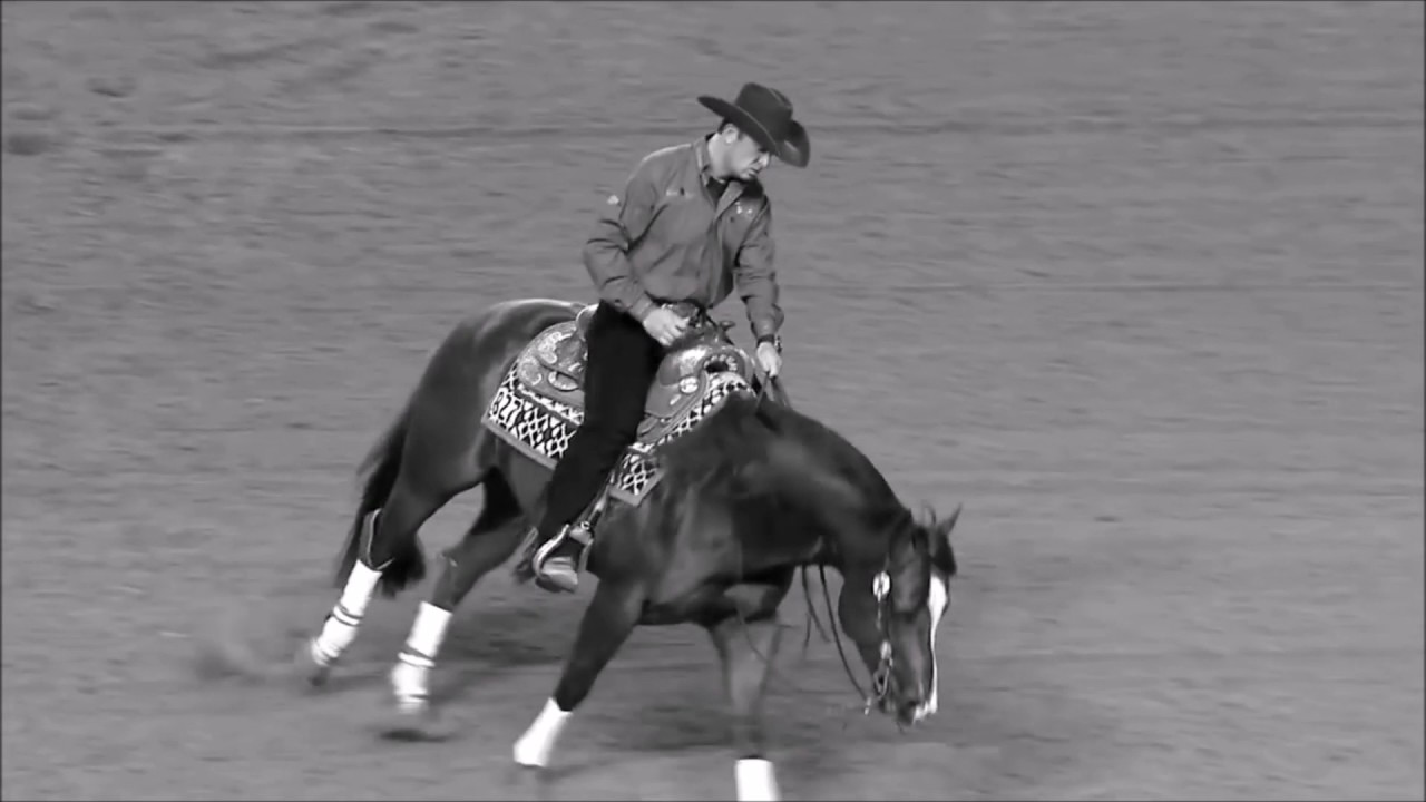 Lovers On The Sun~Western Horse Music Video