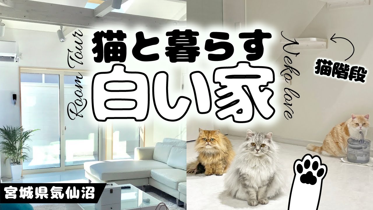 【ルームツアー】猫と暮らす白い家｜宮城県気仙沼市