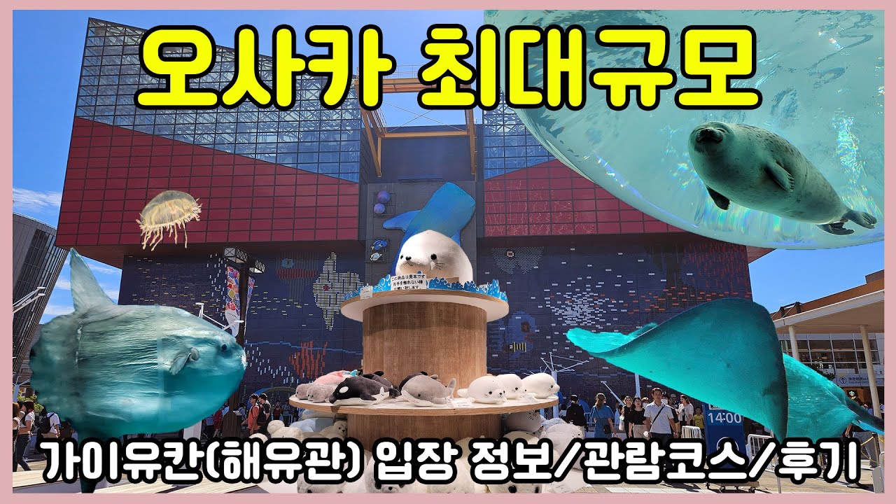 [EN/JP]오사카 최대규모 아쿠아리움 가이유칸 해유관 입장정보, 방문시간 꿀팁, 관람후기