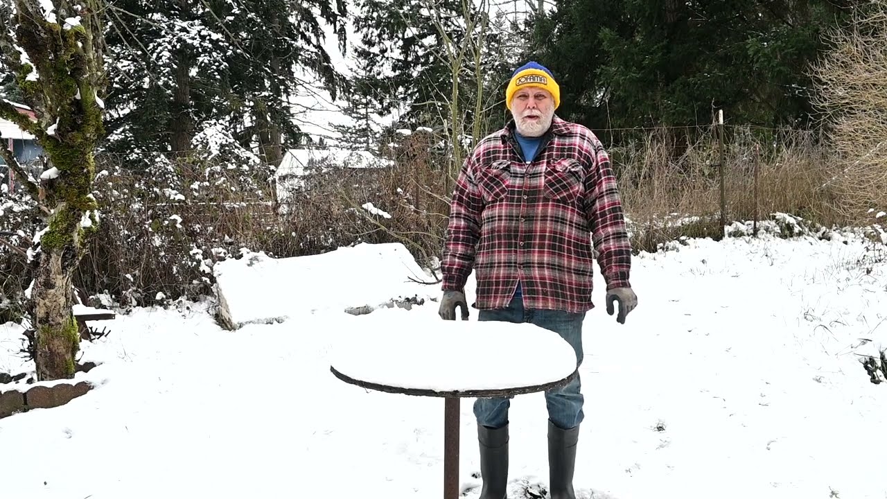 Cushman Trailster Ride in the Snow + Tree Surprise