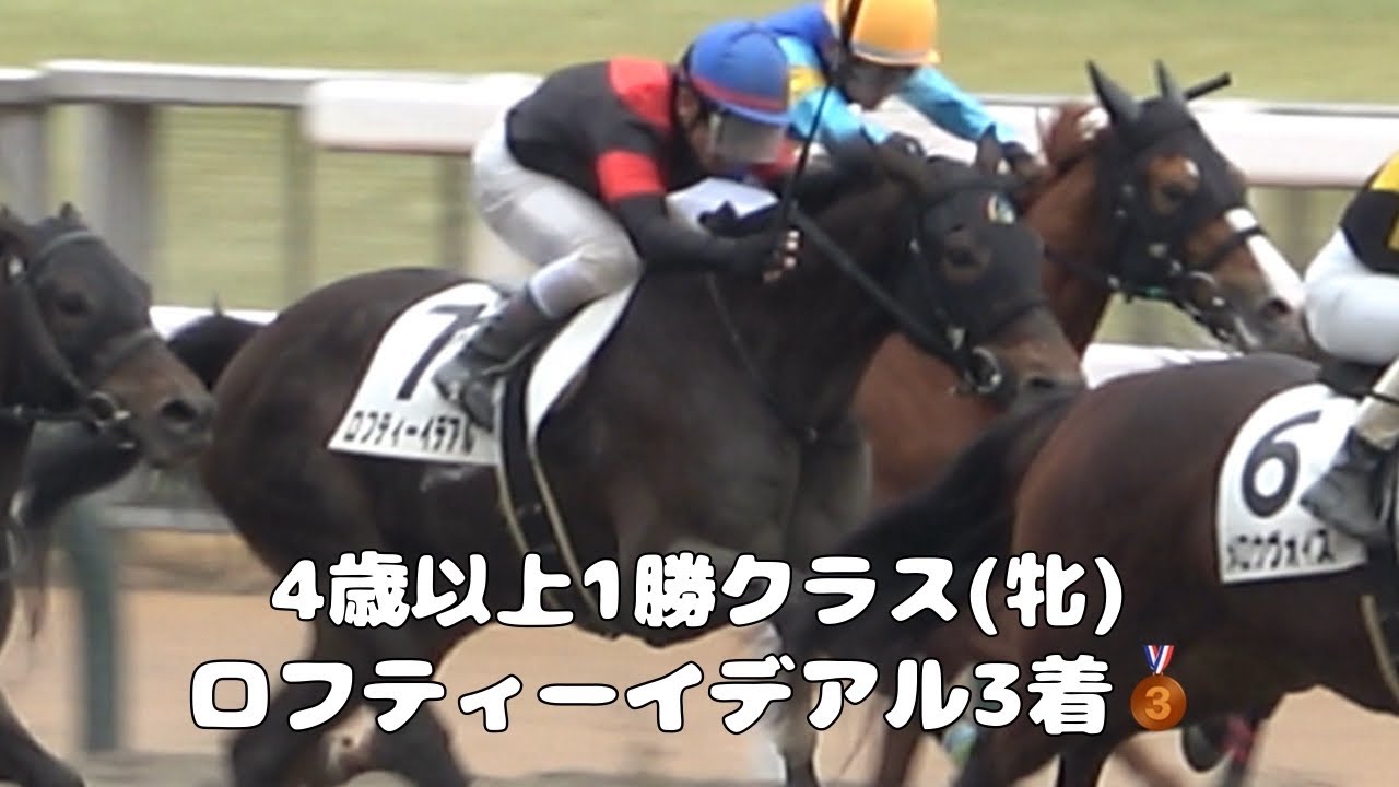 【現地撮影】2024年2月4日東京競馬4Rロフティーイデアル＆戸崎圭太騎手3着！