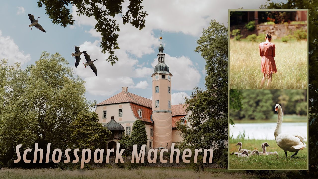 Schlosspark Machern aus der Luft & am Boden | Natur & Tierwelt in 4K