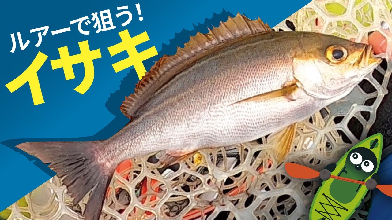 イサキジギングで大型外道爆釣の釣行記！梅雨のカヤックフィッシング