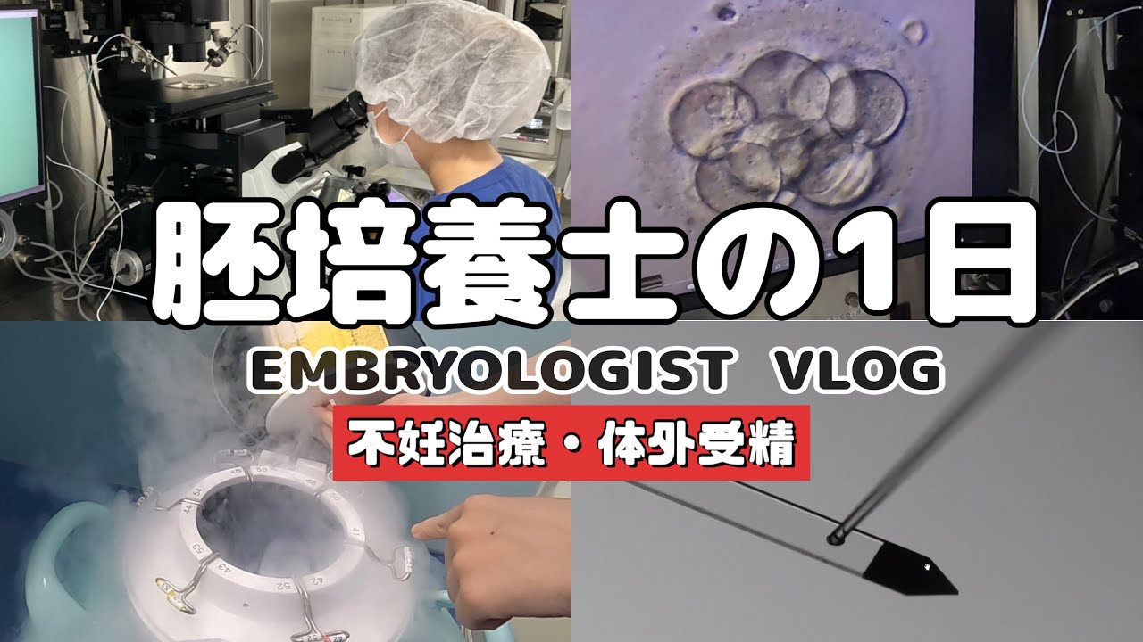 【Vlog】不妊治療クリニックで働く胚培養士の１日