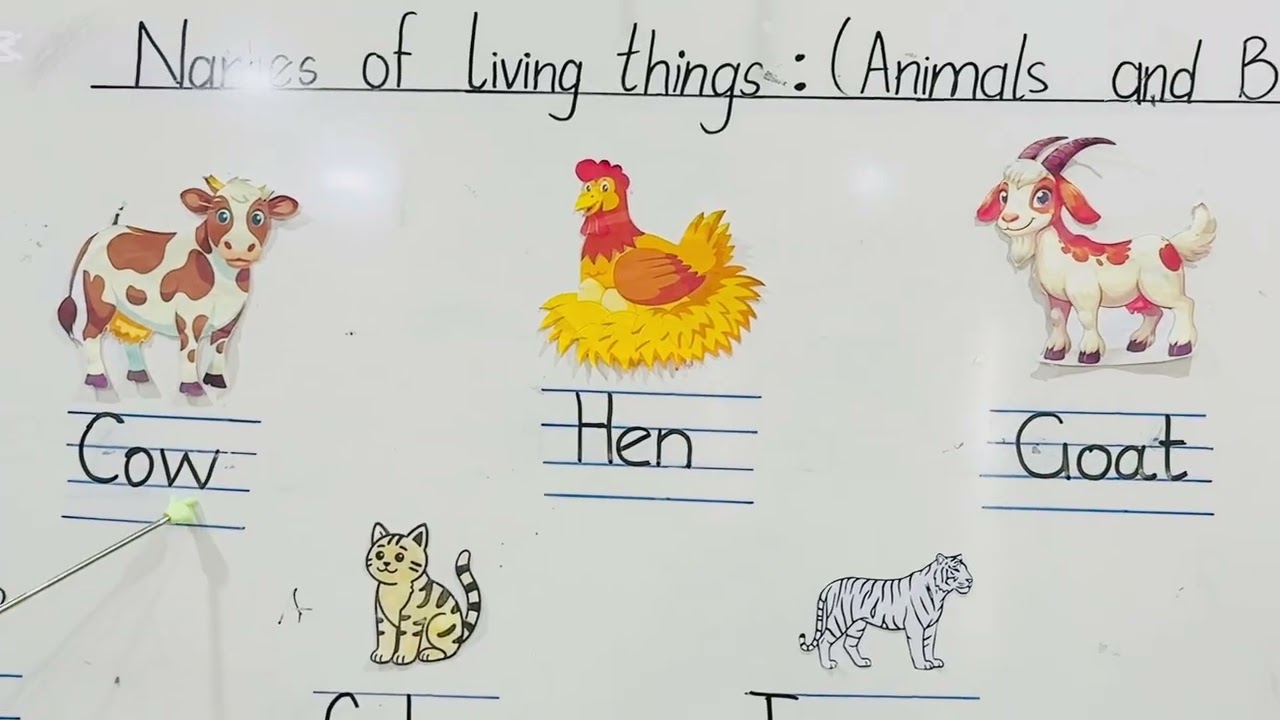 Grade 1 🧡| Grammar Tree