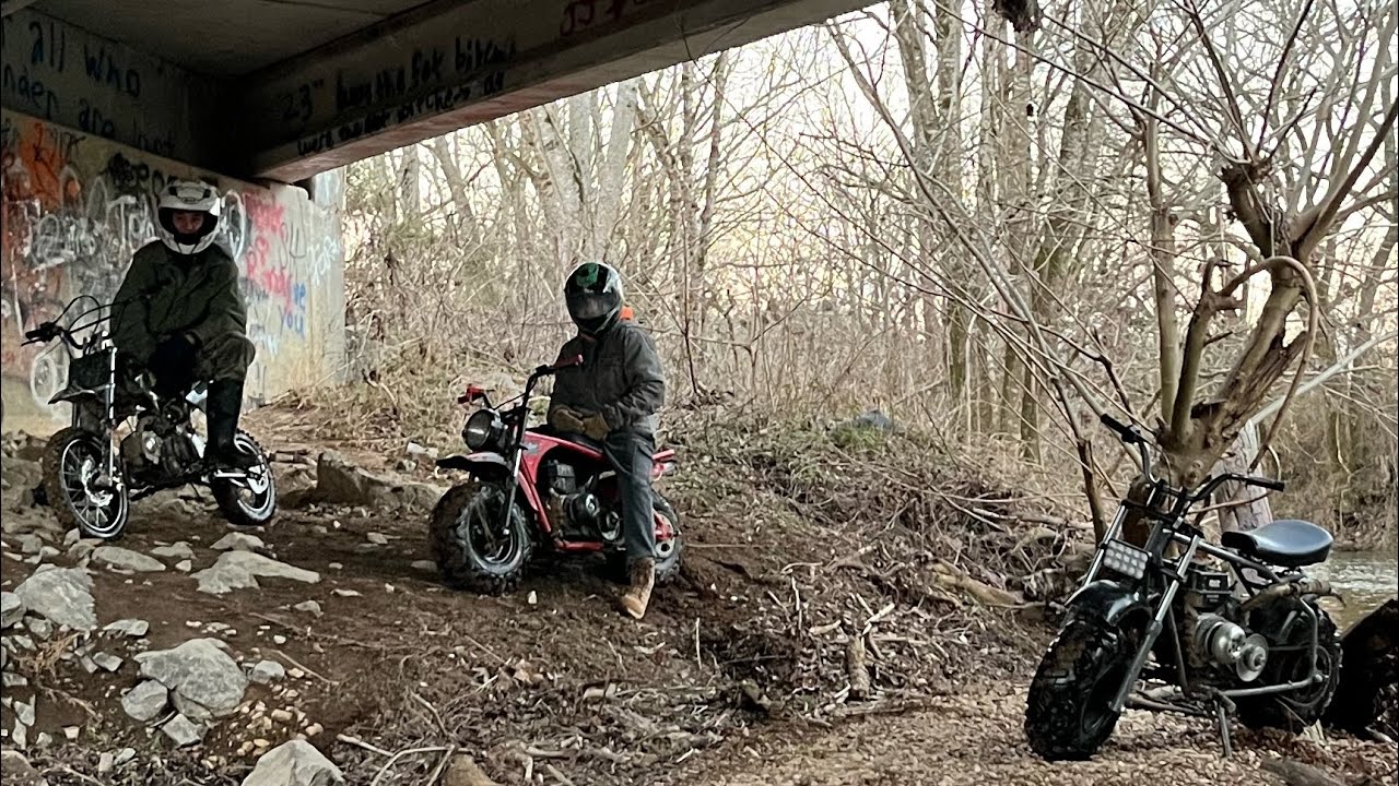 Bike Ride in The Woods