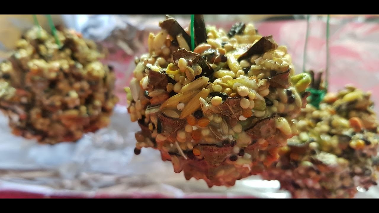 РЕЦЕПТ ЛАКОМСТВА - ФУРАЖИЛКИ  ДЛЯ ПОПУГАЕВ ИЗ ШИШЕК / Recipe of sweets for parrots from cones
