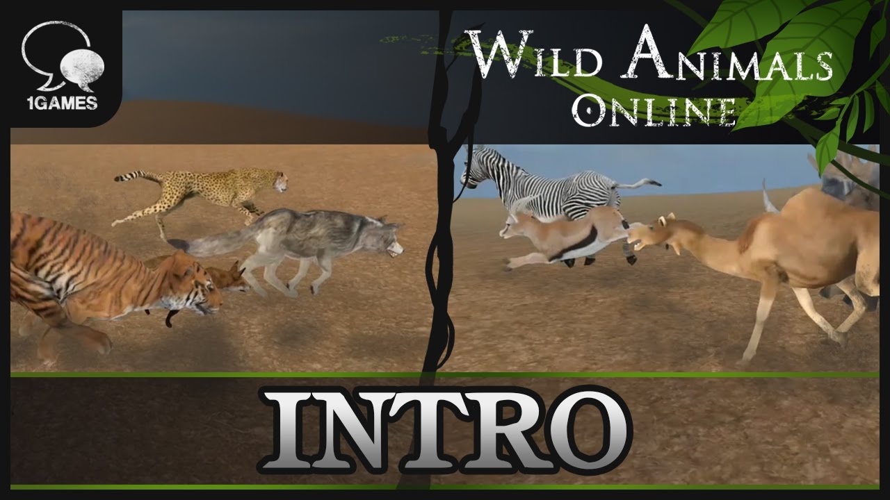 Animals Combat Game 
